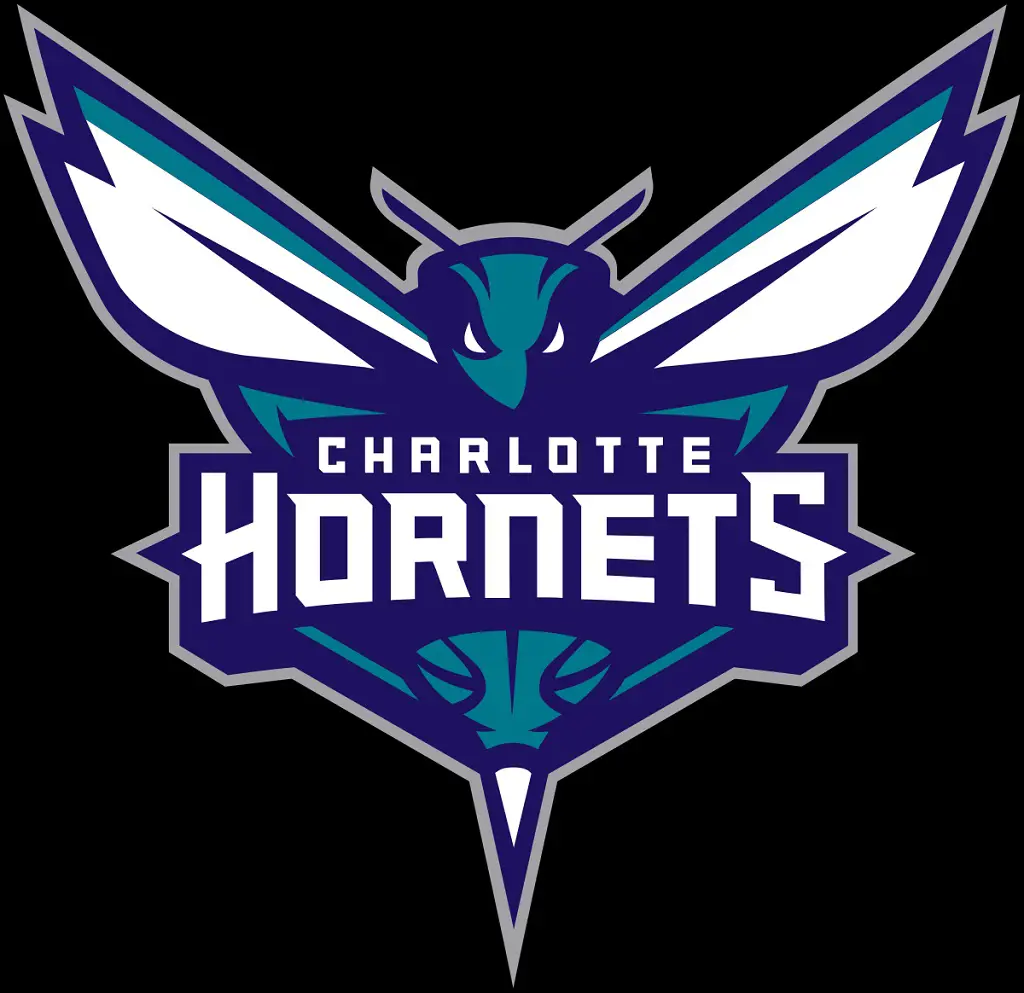 Image: Charlotte Hornets logo