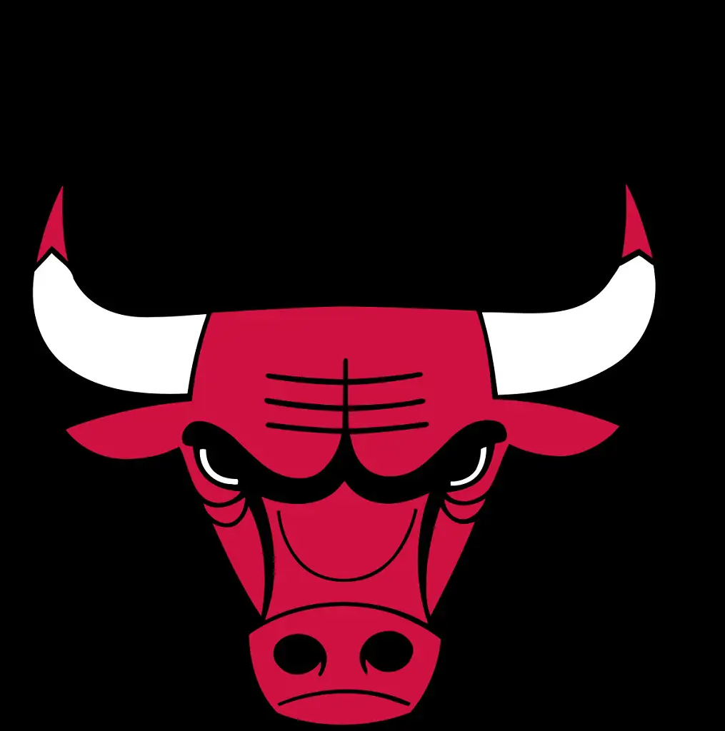 Image: Chicago Bulls logo